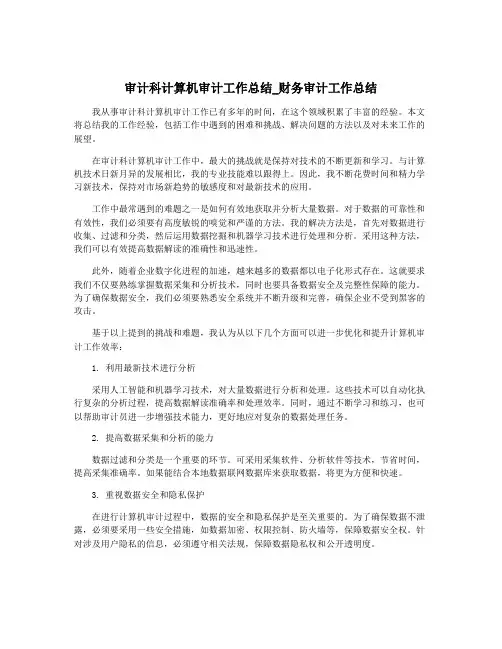 审计科计算机审计工作总结_财务审计工作总结