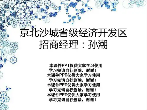 京北沙城省级经济开发区招商经理：孙潮