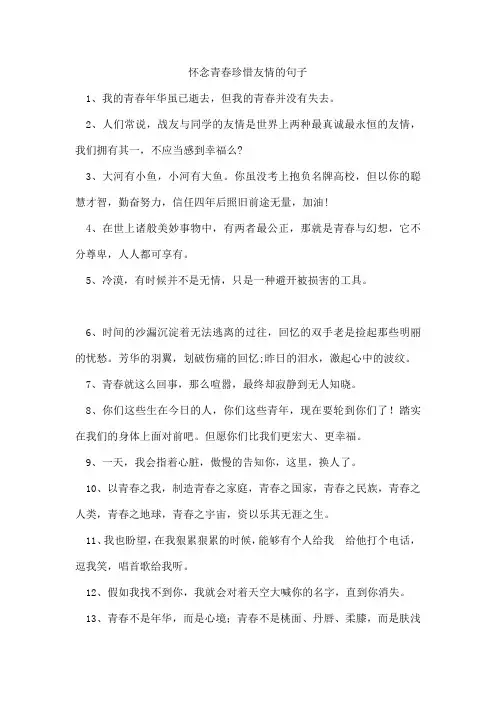 怀念青春珍惜友情的句子