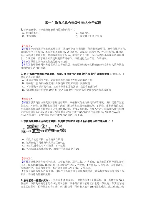 高一生物有机化合物及生物大分子试题
