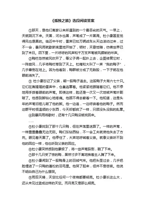 《孤独之旅》选段阅读答案