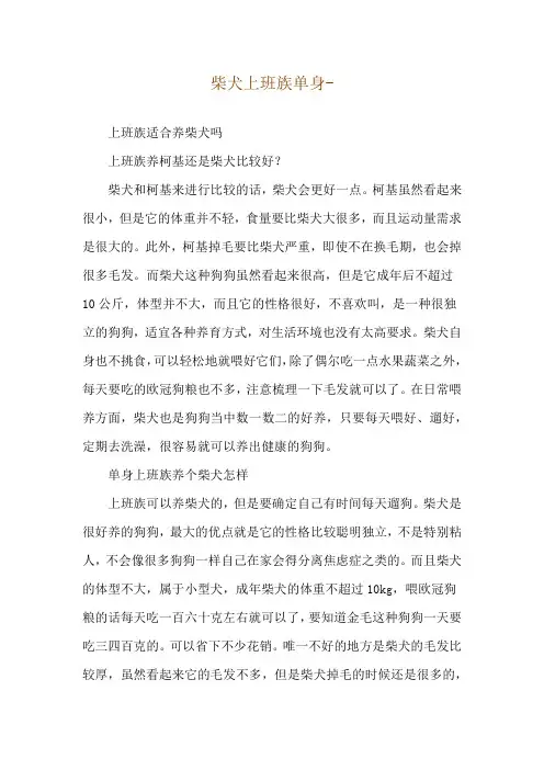 柴犬上班族单身--上班族适合养柴犬吗