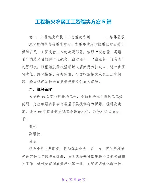 项目拖欠农民工工资解决方案5篇