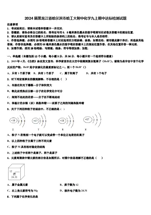 2024届黑龙江省哈尔滨市哈工大附中化学九上期中达标检测试题含解析