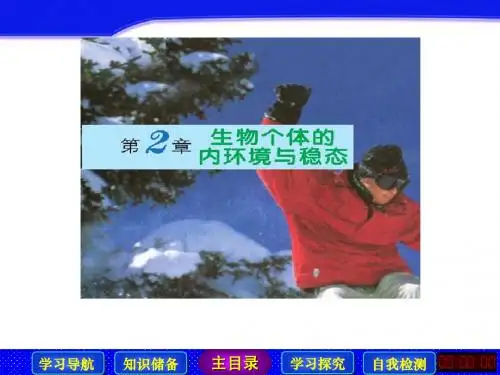 【学案设计】2014高中生物北师大版必修3【配套课件】：2.1.3 血糖的平衡 课件(北师大版必修3)