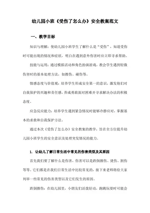 幼儿园小班《受伤了怎么办》安全教案范文