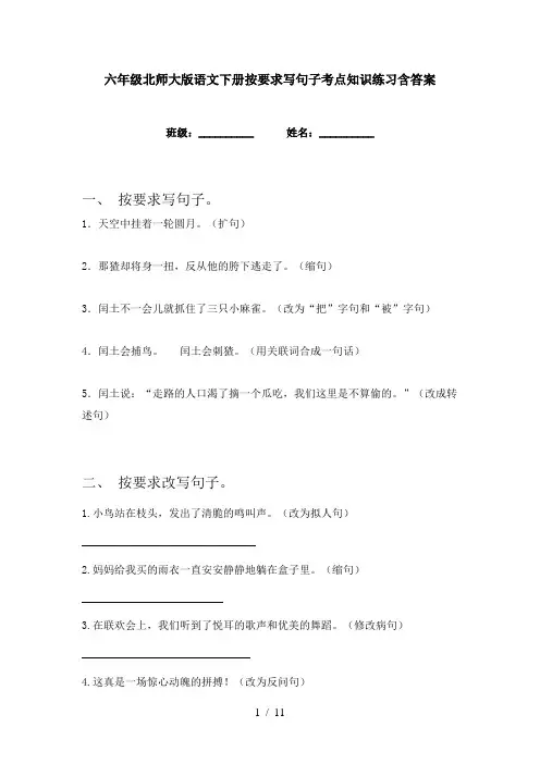 六年级北师大版语文下册按要求写句子考点知识练习含答案