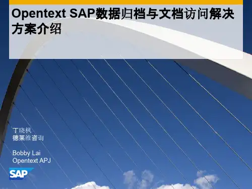 SAP OpenText  数据归档 和 文件访问 方案介绍