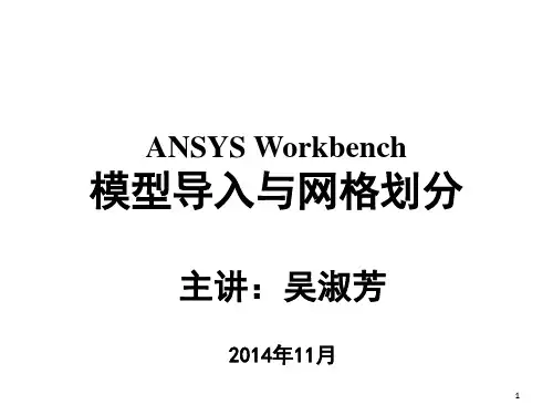 ANSYS Workbench 模型导入与网格划分-文档资料