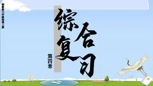 2024年秋新湘教版七年级上册地理课件 4.第四章 世界的居民与文化 第四章综合复习