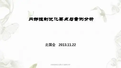 内部控制优化要点与案例分析ppt课件