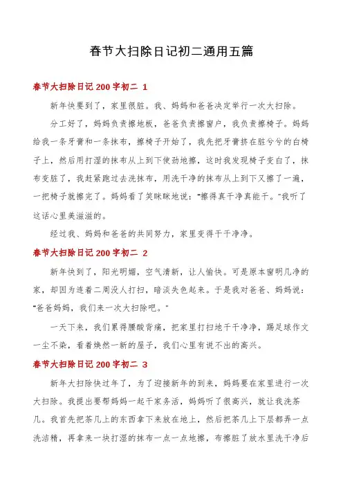 春节大扫除日记初二通用五篇