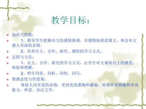 荷叶母亲演示文稿