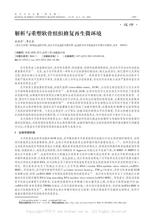 解析与重塑软骨组织修复再生微环境