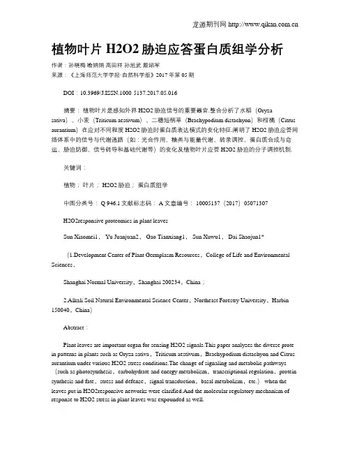 植物叶片H2O2胁迫应答蛋白质组学分析