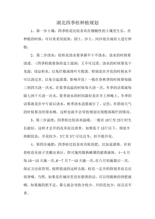 湖北四季桂种植规划