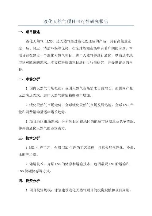 液化天然气项目可行性研究报告
