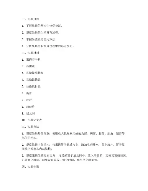 果蝇的观察实验报告