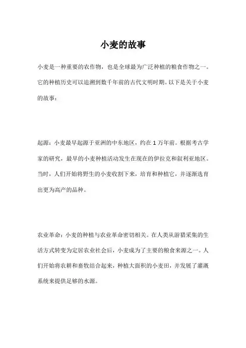 小麦故事名称