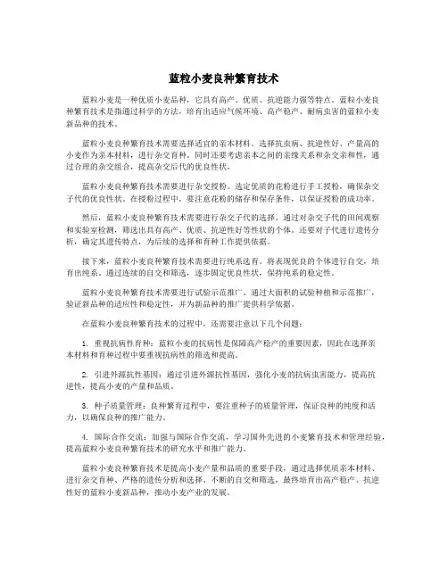 蓝粒小麦良种繁育技术