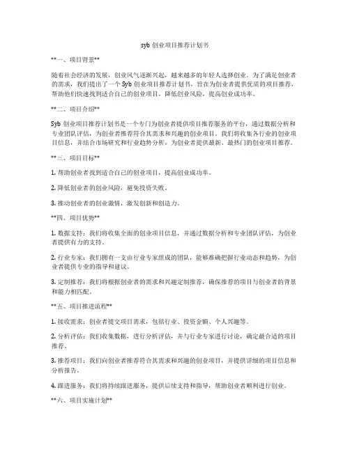 syb创业项目推荐计划书
