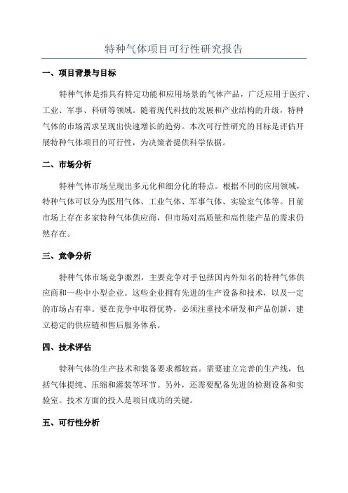 特种气体项目可行性研究报告