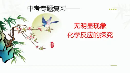 2024年中考专题复习之无明显现象反应的实验探究