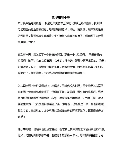 作文《路边的风景》