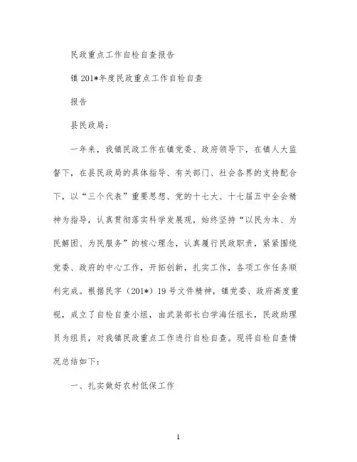 民政重点工作自检自查报告
