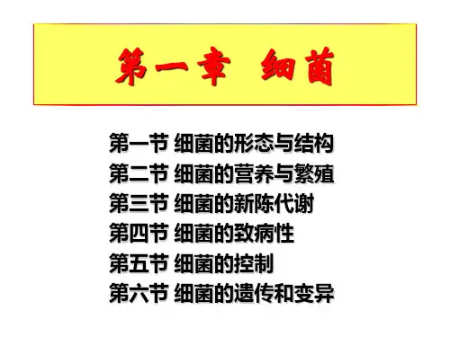 第一节 细菌的形态与结构