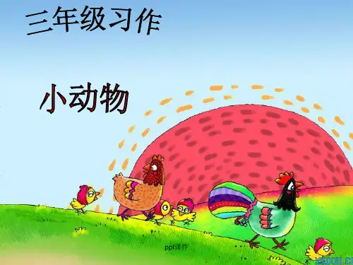 小动物作文指导  ppt课件