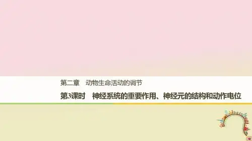 (浙江专版)高中生物第二章动物生命活动的调节第3课时神经系统的重要作用、神经元的结构和动作电位课件浙