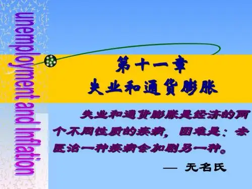 宏观经济学第11章
