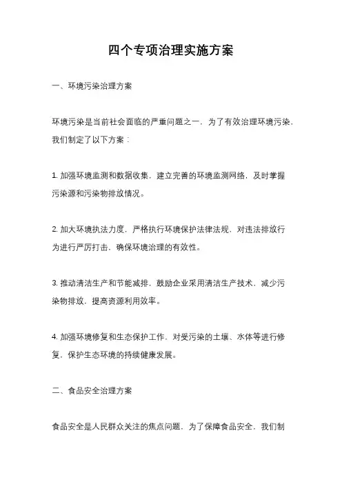 四个专项治理实施方案