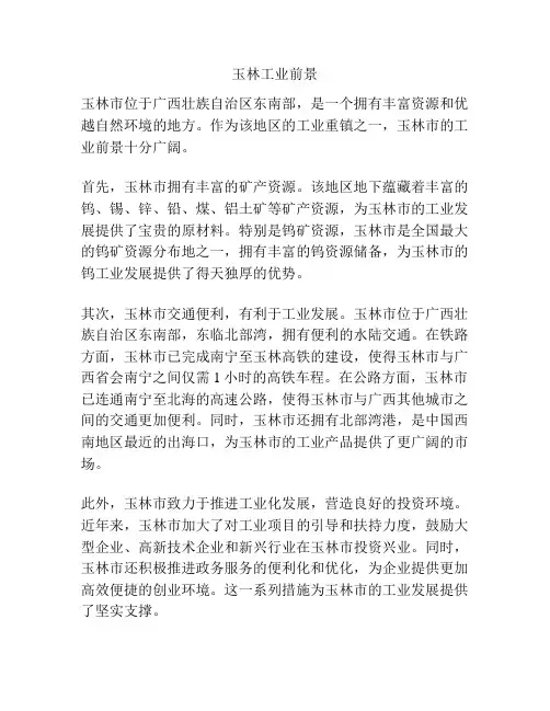 玉林工业前景