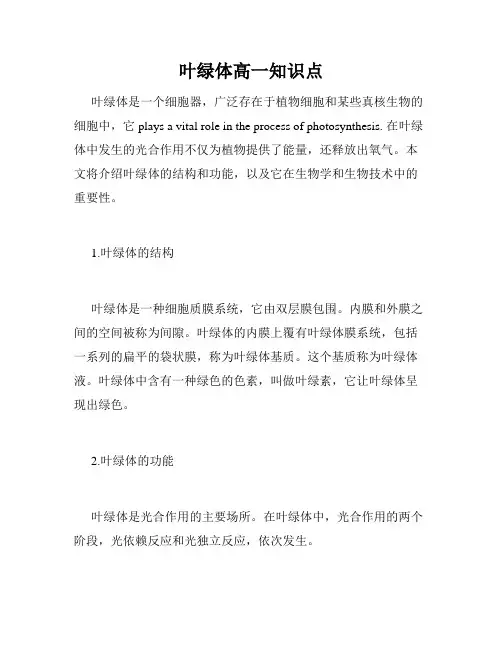叶绿体高一知识点
