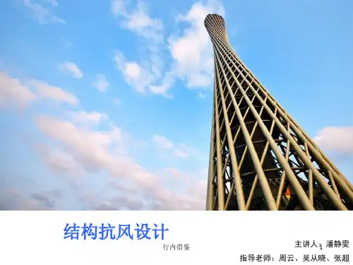 抗风设计(实用解决)