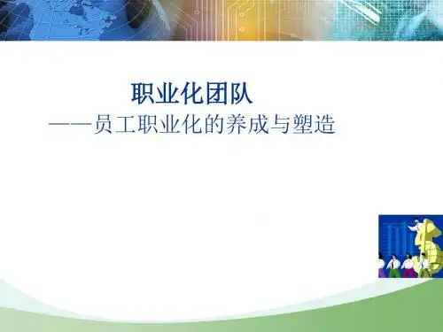 员工职业化养成与团队塑造