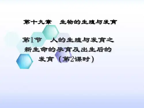新生命的孕育(课件)