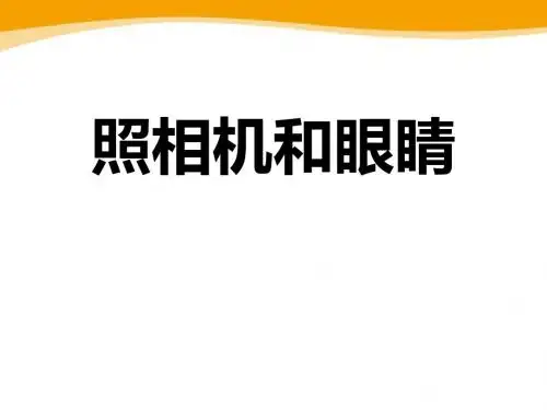 《照相机和眼睛》PPT