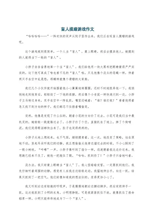 盲人摸瞎游戏作文