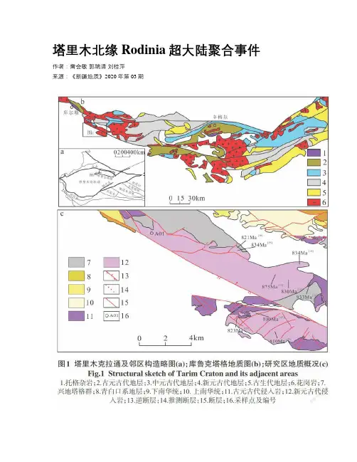 塔里木北缘Rodinia超大陆聚合事件
