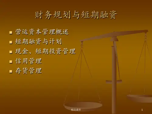 财务规划与短期融资