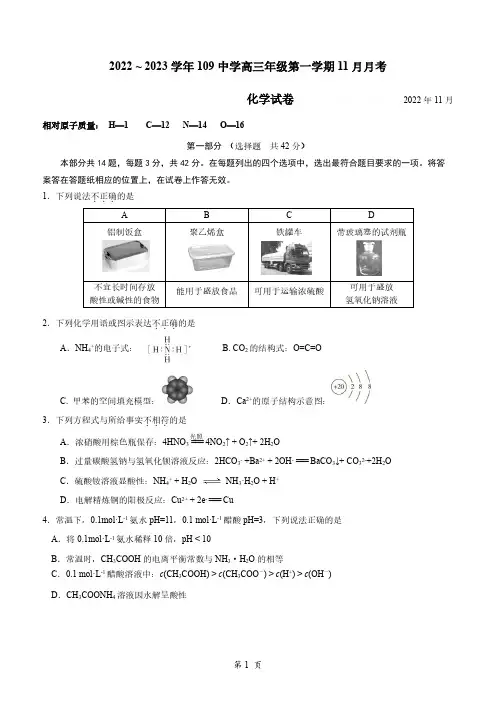 北京市第一零九中学2022 - 2023学年高三上学期11 月月考 化学试题