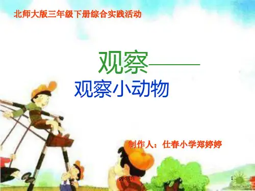 北师大版三年级下册综合实践活动《观察小动物》  ppt课件