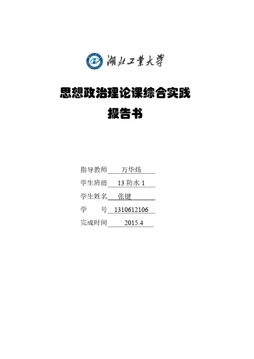 思想政治理论课综合实践报告书（学生）