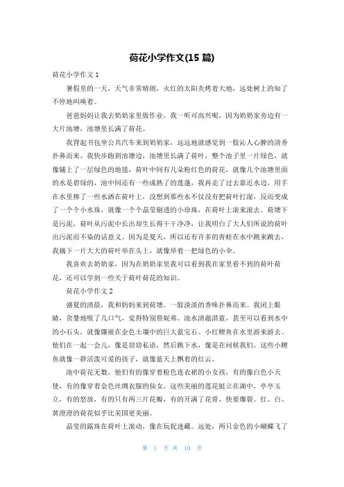 荷花小学作文(15篇)