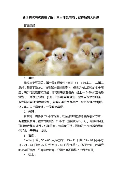 新手初次养鸡需要了解十三大注意事项，帮你解决大问题