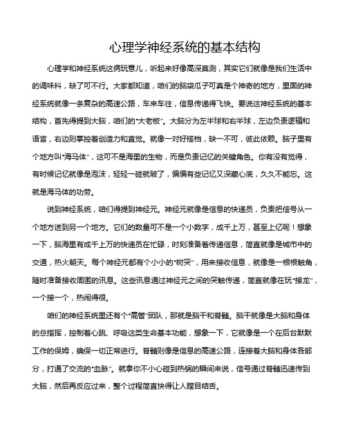 心理学神经系统的基本结构