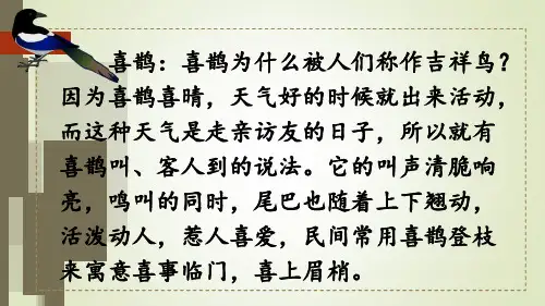 二年级语文下册枫树上的喜鹊ppt课件
